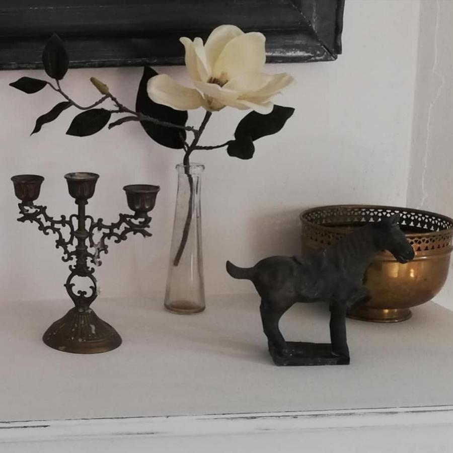 Chambre d'hôte équestre Au petit bonheur Chateldon Extérieur photo