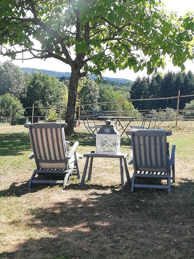 Chambre d'hôte équestre Au petit bonheur Chateldon Extérieur photo