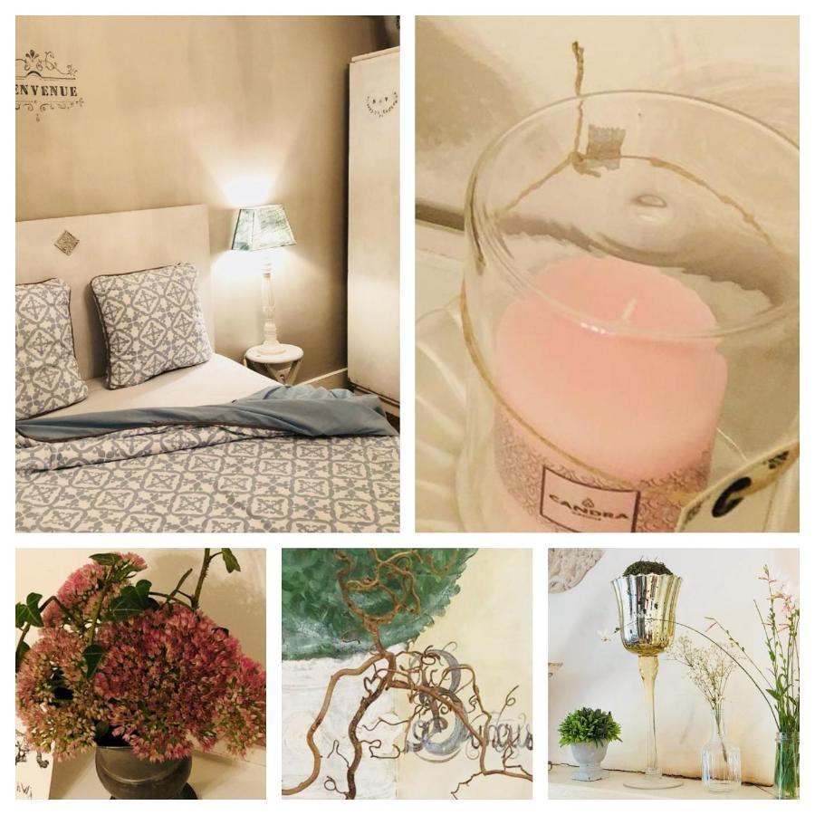 Chambre d'hôte équestre Au petit bonheur Chateldon Extérieur photo