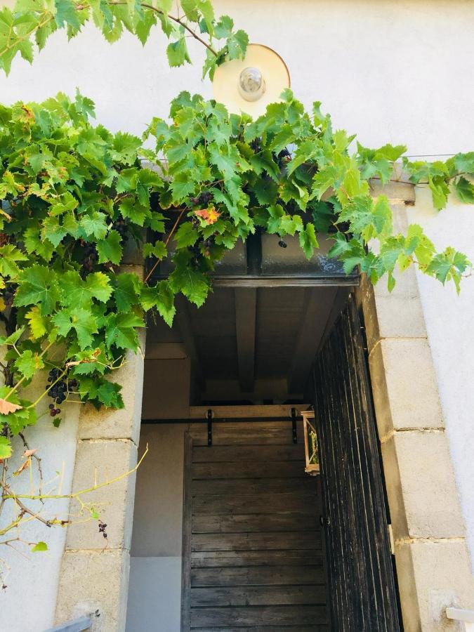 Chambre d'hôte équestre Au petit bonheur Chateldon Extérieur photo
