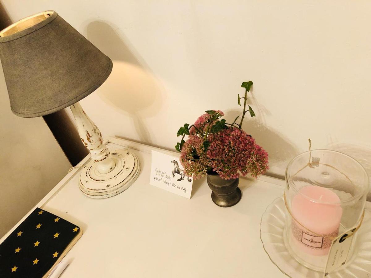 Chambre d'hôte équestre Au petit bonheur Chateldon Extérieur photo